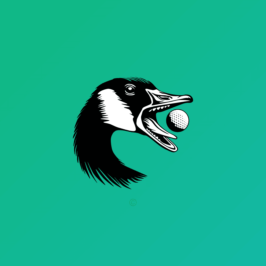 Bringing AI to Your Golf Game: Fairway Goose